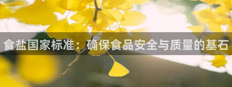 威九国际AN