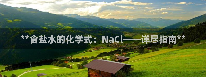 威九国际官网登录入口网站