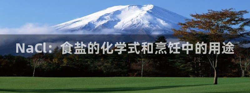 威九国际网站登录