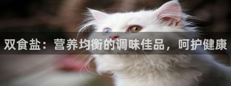 威九国际官网登录入口下载