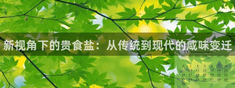 威九国际官网登录入口网址