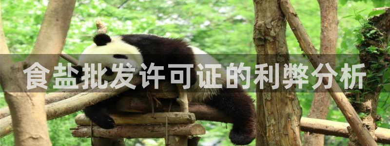 威九国际78m78下载