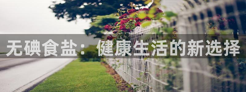 威九国际宣传片