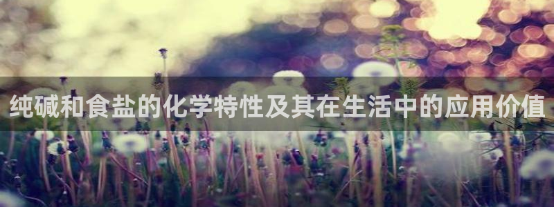 威九国际78mb玩法