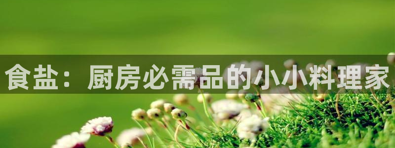 威九国际电子游戏