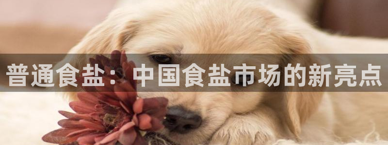 威九国际的金融服务有哪些