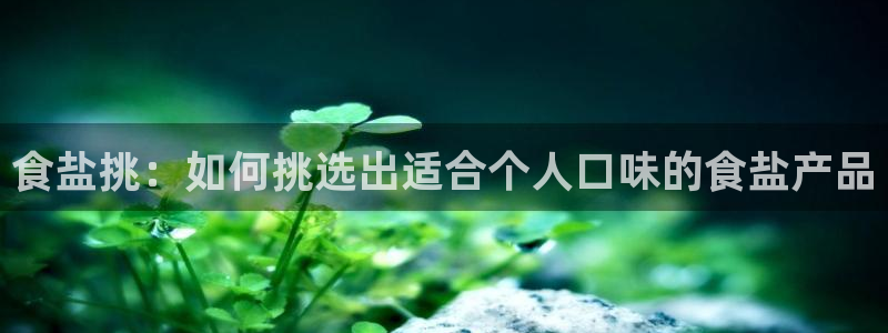 威九国际软件公司简介