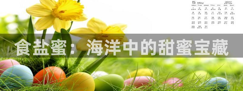 威九国际ppt免费下载