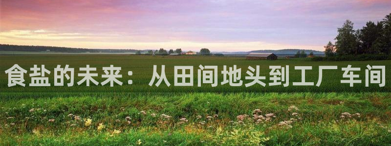 威九国际v96242cc官网版