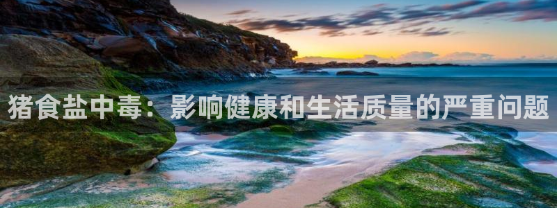 78mapp威九国际媒体央视