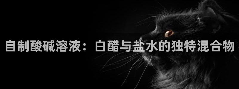 威九国际下载官网app