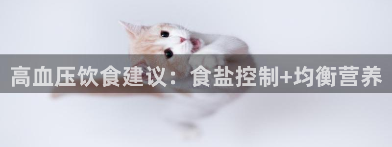 威九国际网站传媒招聘