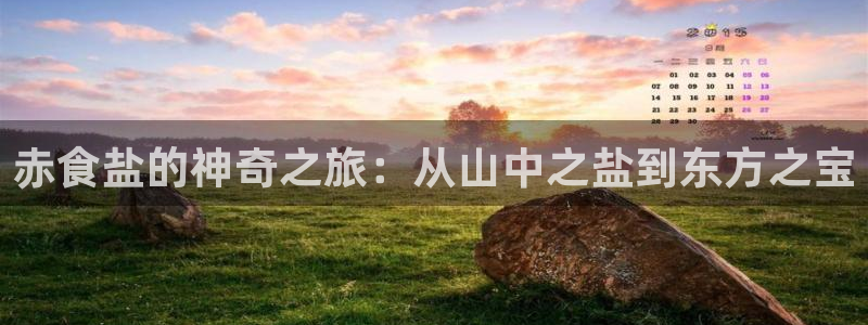 威九国际客服电话号码查询