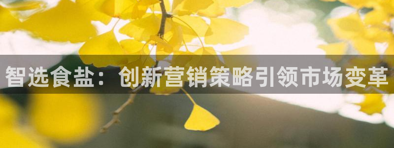 威九国际78mb官网版