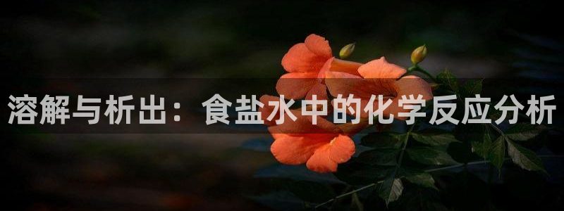 威九国际官网登录入口网址