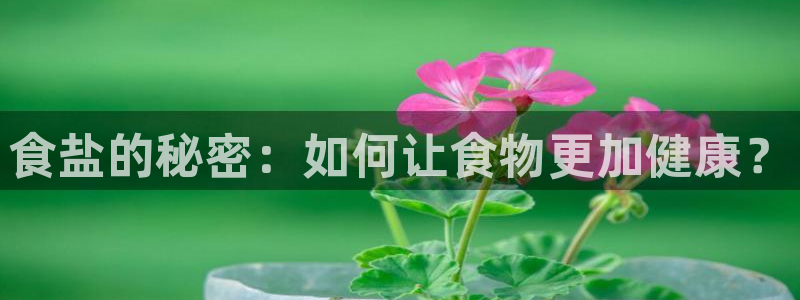 威九国际网站更新了吗