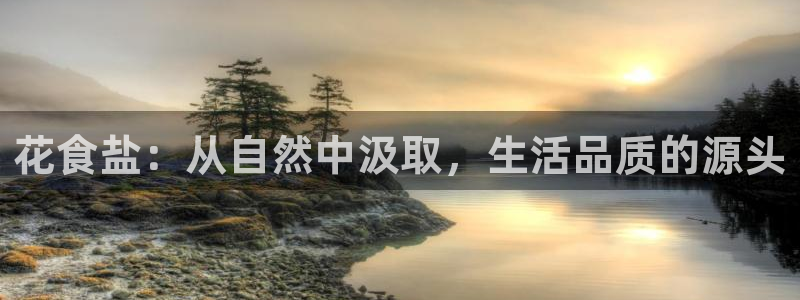 保定威九网络科技有限公司招聘